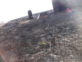 Bastioncello